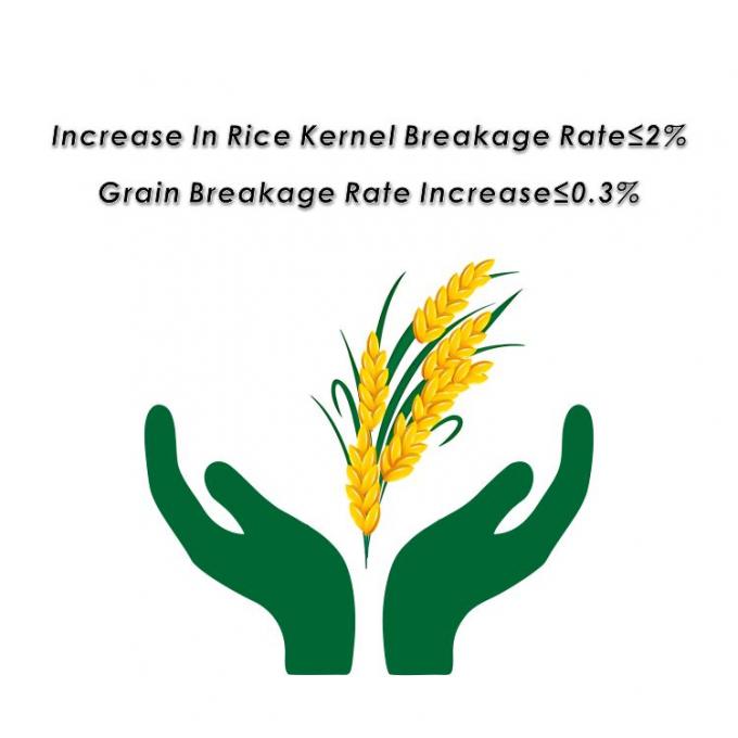 Sécheuse de riz pour le maïs et les autres céréales 5HPX-15 9,95kw Dimension totale 2500*4320*10200m 2