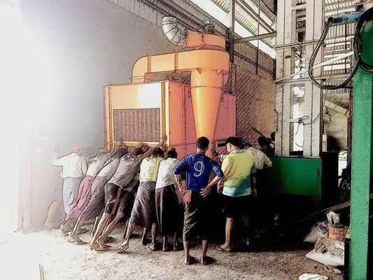 Yellow Pigeon Peas Batch Type Dryer Machine 15 Tons Dryer Machine For Sell