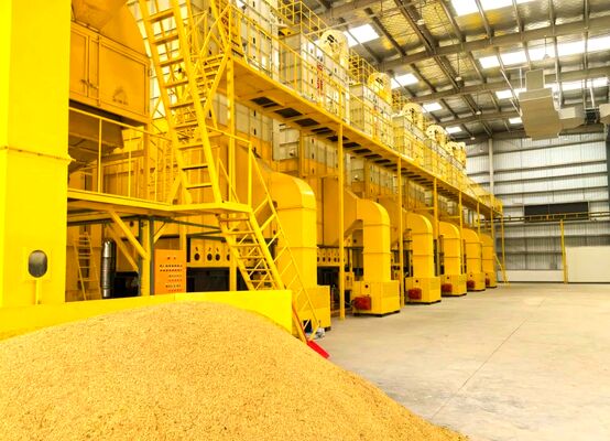 Bon prix 100 tonnes de dessiccateur de maïs-grain usinent tout le séchage de directions en ligne