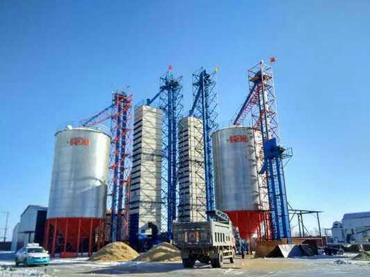 Bon prix la chaleur 200tpd réutilisant la rizerie Paddy Dryer Direct Storage cru en ligne